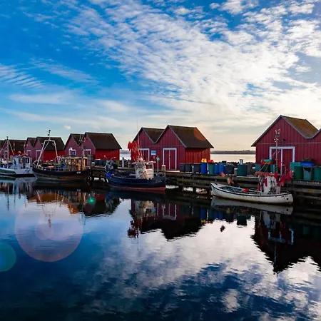 Haus Silbermoewe Whg Sm4 Lägenhet *